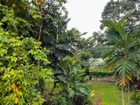 Appartement spacieux à Sainte-Rose, 70 m² avec jardin - Photo 17