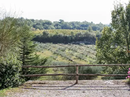 Coccinella n°6, Gite 4 personnes à Gaiole in Chianti - Photo 7