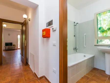 Podere gli Olivi, Maison 7 personnes à Castiglioncello - Photo 25