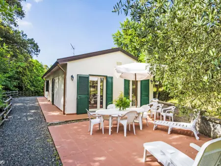 Podere gli Olivi, Maison 7 personnes à Castiglioncello - Photo 26