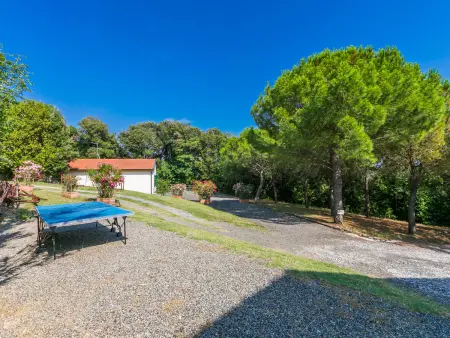 Podere gli Olivi, Maison 7 personnes à Castiglioncello - Photo 31