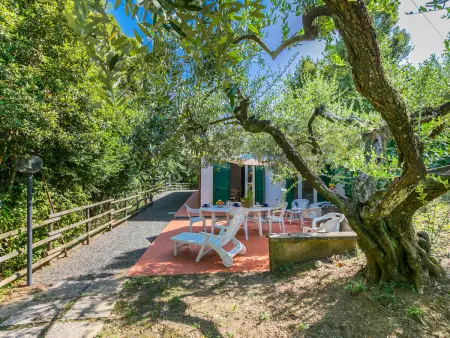 Podere gli Olivi, Maison 7 personnes à Castiglioncello - Photo 32
