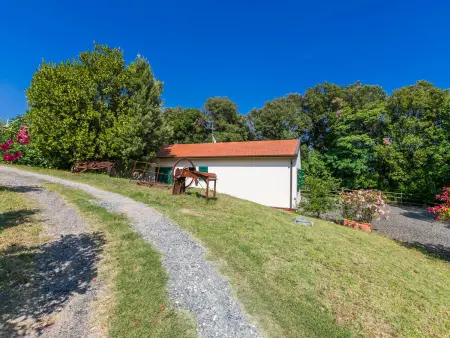 Podere gli Olivi, Maison 7 personnes à Castiglioncello - Photo 33