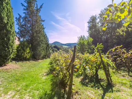 Focolare, Gite 4 personnes à Trequanda - Photo 38