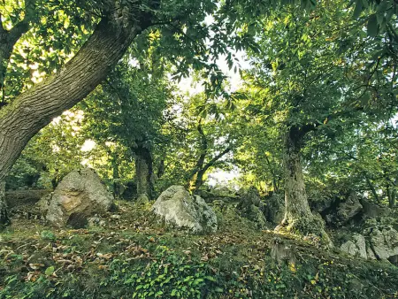 Casale Ulisse, Gite 8 personnes à Roccastrada - Photo 25