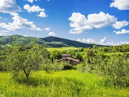 Casale Fonte, Gite 9 personnes à Roccastrada - Photo 35