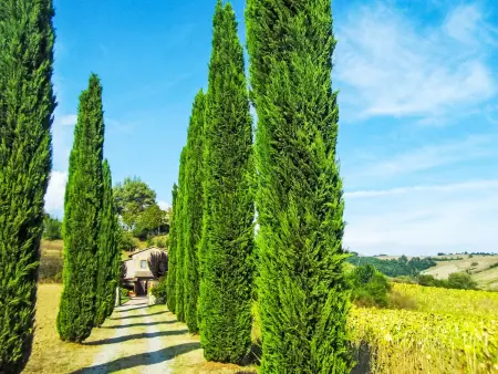 Podere Agnese, Villa 6 personnes à Celle sul Rigo - Photo 24