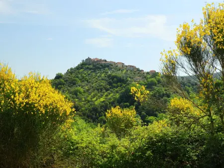 Poggio Velluto, Gite 13 personnes à Castel del Piano - Photo 53