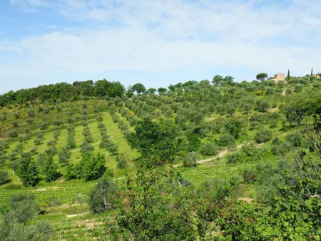 Poggio Velluto, Gite 13 personnes à Castel del Piano - Photo 54