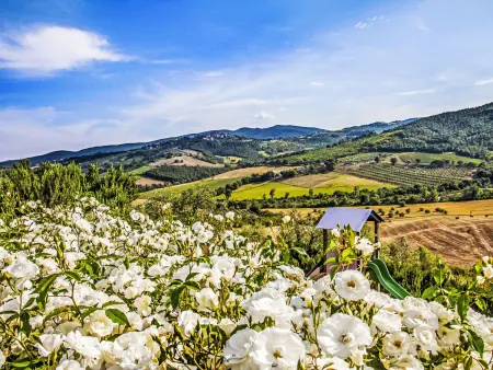 Allerona, Gite 6 personnes à Orvieto - Photo 24