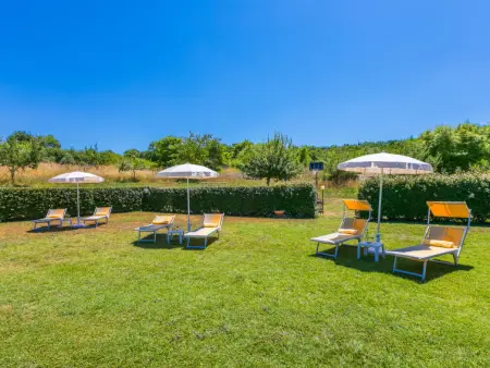 Podere San Giuseppe, Maison 12 personnes à Colle Val d'Elsa - Photo 89