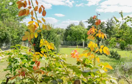 Jolie maison proche rivière, Maison 6 personnes à JAULGONNE - Photo 13