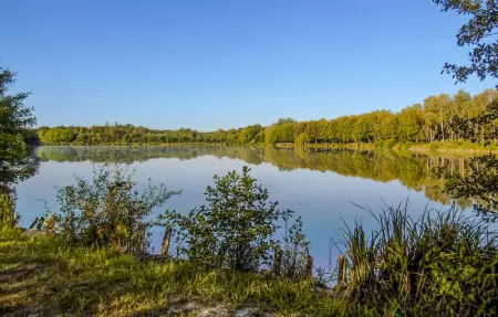 Jolie maison proche rivière, Maison 6 personnes à JAULGONNE - Photo 29