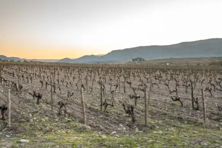Casa da Capela, Chalet indépendant situé à Vila Flor avec piscine - Photo 35