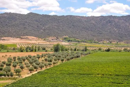 Casa do Caseiro, Maison de vacances confortable à Vila Flor avec piscine - Photo 32