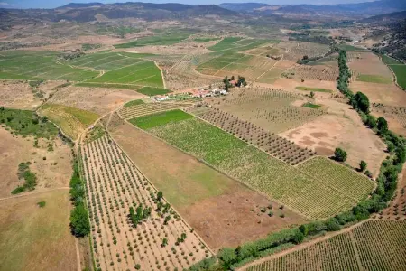 Casa do Caseiro, Maison de vacances confortable à Vila Flor avec piscine - Photo 33