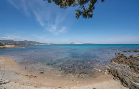 Villino Mito, Appartement 7 personnes à San Teodoro OT - Photo 24