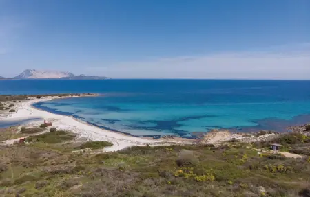 Villino Mito, Appartement 7 personnes à San Teodoro OT - Photo 25