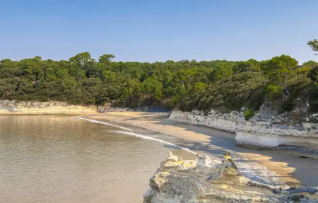 Location Maison 6 personnes à Meschers sur Gironde - Photo 26