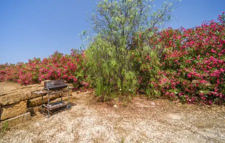 Baglio Mediterraneo, Maison 6 personnes à Ribera (AG) - Photo 42
