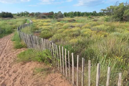 LOU 195 RASPADO, Appartement 6 personnes à Sérignan - Photo 16