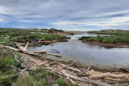 LOU 195 RASPADO, Appartement 6 personnes à Sérignan - Photo 28