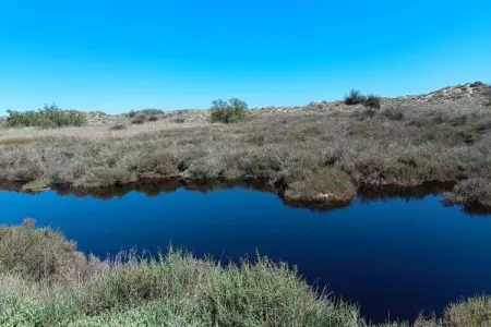 LOU 154 GUEGNIARD, Appartement 6 personnes à Valras Plage - Photo 8