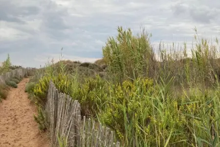 54 Charme et Confort, Appartement 4 personnes à Vendres - Photo 8