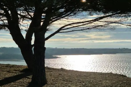 54 Charme et Confort, Appartement 4 personnes à Vendres - Photo 16