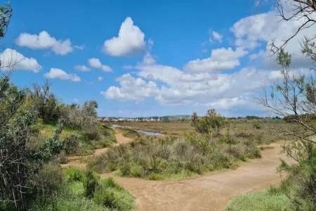 54 Charme et Confort, Appartement 4 personnes à Vendres - Photo 17
