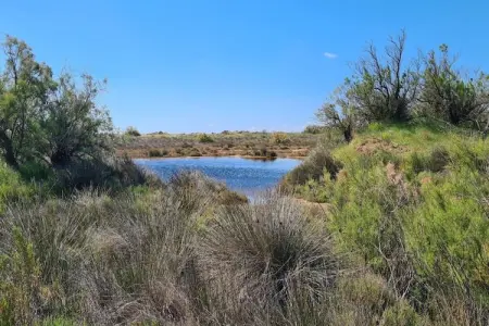 54 Charme et Confort, Appartement 4 personnes à Vendres - Photo 19