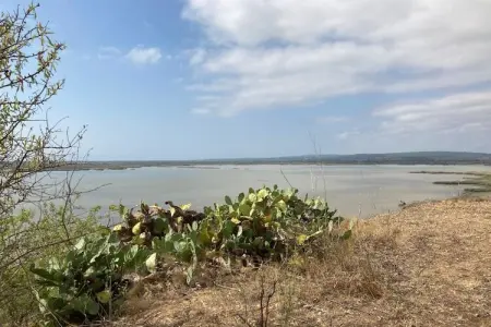 54 Charme et Confort, Appartement 4 personnes à Vendres - Photo 21