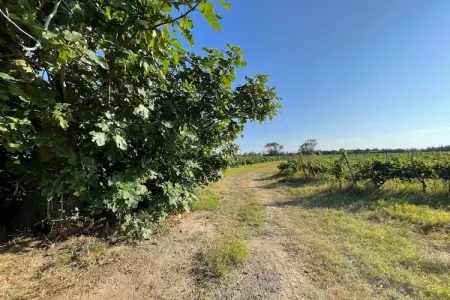 98 MAYSSA, Appartement 6 personnes à Sérignan - Photo 5