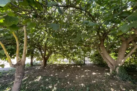 98 MAYSSA, Appartement 6 personnes à Sérignan - Photo 14