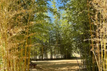 98 MAYSSA, Appartement 6 personnes à Sérignan - Photo 20