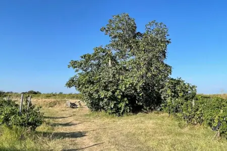 98 MAYSSA, Appartement 6 personnes à Sérignan - Photo 21
