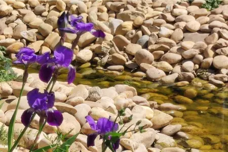 98 MAYSSA, Appartement 6 personnes à Sérignan - Photo 24