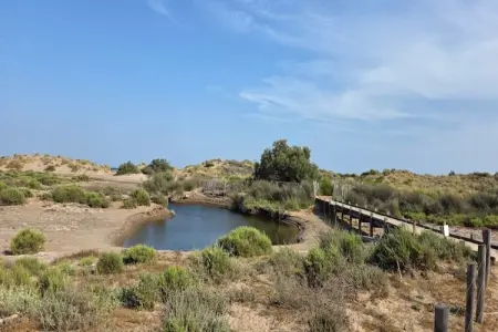 LOU 194 CANT, Appartement 7 personnes à Sérignan - Photo 35