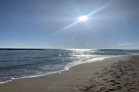 211 NILSSON, Appartement 4 personnes à Sérignan - Photo 13