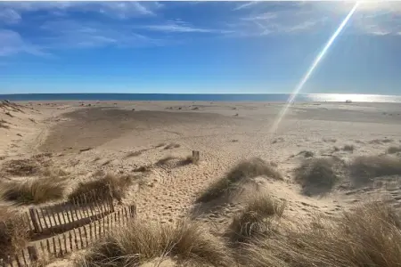 LOU 202 BARRAL, Appartement 4 personnes à Sérignan - Photo 24