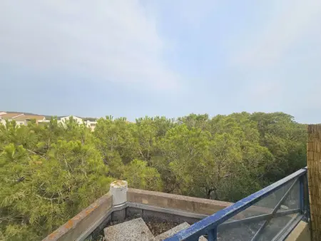 Appartement 2 pièces avec terrasse et piscine à Balaruc-les-Bains - Photo 15