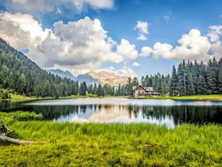 Picchio Primavera, Maison 5 personnes à Terme di Comano - Photo 43