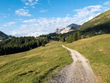 Picchio Autunno, Appartement 5 personnes à Terme di Comano - Photo 37