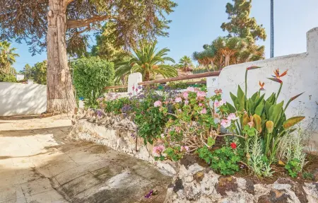 Casa Los Pinos, Maison 4 personnes à Icod De Los Vinos - Photo 8