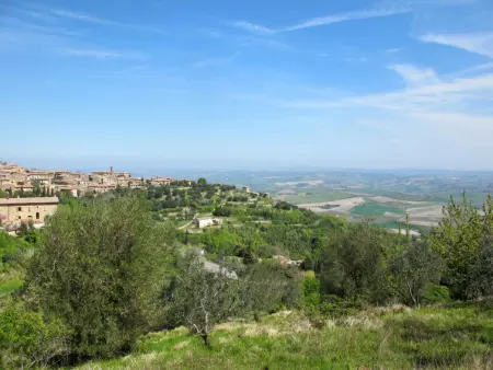 Siena, Gite 4 personnes à Montalcino - Photo 42