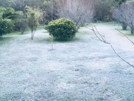 Gîte Le Prunier à Le Tampon, Gite 2 personnes à Le Tampon - Photo 10