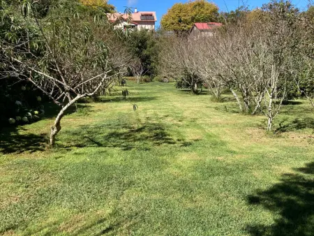 Gîte Le Prunier à Le Tampon, Gite 2 personnes à Le Tampon - Photo 11