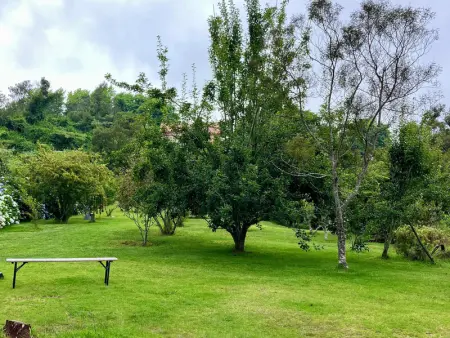 Gîte Le Prunier à Le Tampon, Gite 2 personnes à Le Tampon - Photo 12