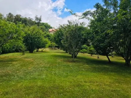 Gîte Le Prunier à Le Tampon, Gite 2 personnes à Le Tampon - Photo 14