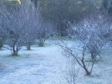 Gîte Le Prunier à Le Tampon, Gite 2 personnes à Le Tampon - Photo 15